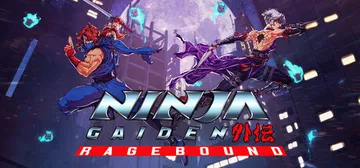 忍者外传：怒之羁绊 v37895（NINJA GAIDEN 封面