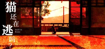 猫还在逃吗？Build.20572236（Still It 封面