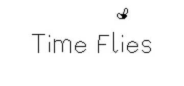 逝者如斯蝇 Build.19297352（Time Flie封面