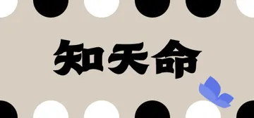 知天命 v0.53（Prescience）免安装中文版封面