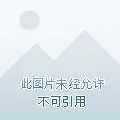 火焰纹章ENGAGE v2.0.0+老区长自制MOD+邪龙之章DLC+全DLC-模拟器整合版（Engage Fire Emblem）免安装中文版封面