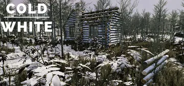 冷白 Build.21100504（The Cold Whi封面