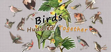 挤在一起的鸟鸟 Build.14298719（Birds H封面