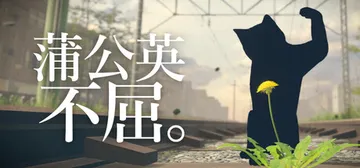 蒲公英不屈。Build.24918221（The Dande封面