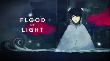 雨纪|Flood of light中文封面