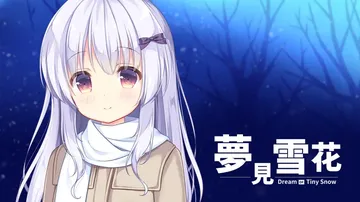 梦见雪花|Dream of Tiny Snow中文封面