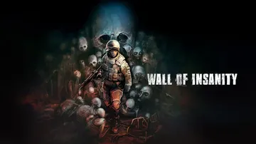 疯狂之墙|Wall of insanity封面