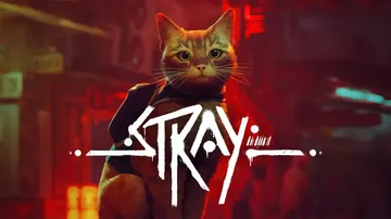 迷失|流浪猫|Stray中文封面