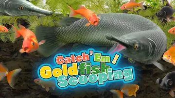 抓住他们！捞金鱼|Catch ‘Em! Goldfish S封面