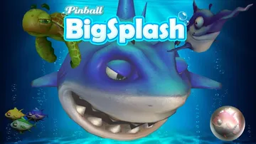 弹球大飞溅|Pinball Big Splash封面