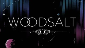 木盐|Woodsalt封面