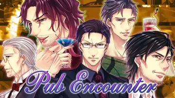 大叔之恋|酒吧邂逅|Pub Encounter中文封面