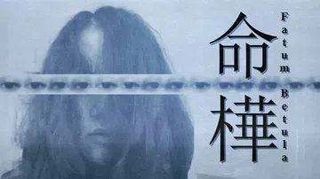 命桦|Fatum Betula封面