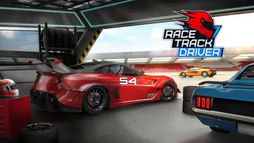 赛道车手|Race Track Driver封面