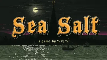 海盐|Sea Salt中文封面