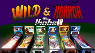 狂野和恐怖弹子球|Wild & Horror Pinball封面