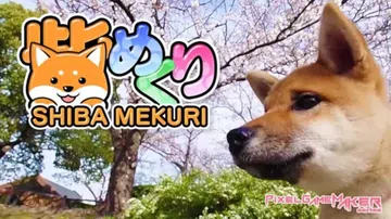 像素游戏制作大师系列：柴犬|Pixel Game Maker封面