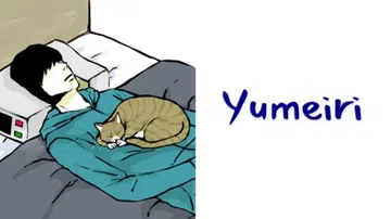 回梦之旅|Yumeiri中文封面