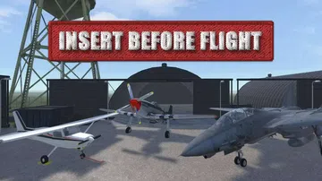直入云霄|Insert Before Flight封面