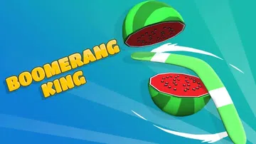 回旋镖之王|回力镖之王|Boomerang King封面