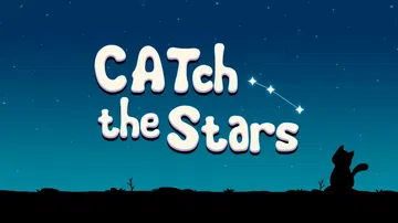 抓住星星|追星|Catch the Stars封面