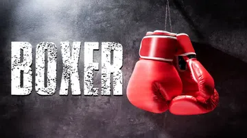 拳击手|Boxer封面