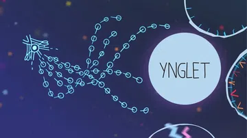 幼鳞|Ynglet中文封面