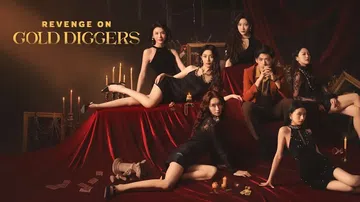 情感反诈模拟器|Revenge On Gold Diggers中文封面