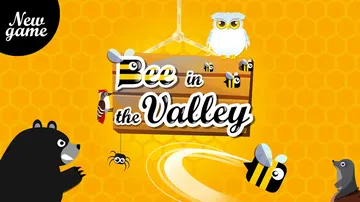 山谷中的蜜蜂|Bee in The Valley封面