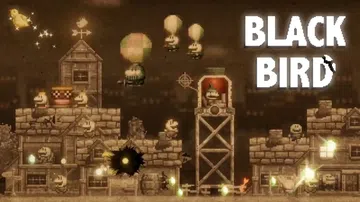 黑鸟|Black Bird中文封面
