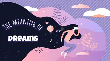 梦的解析|The Meaning of Dreams封面