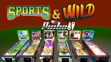 运动和野外弹球|Sports & Wild Pinball封面