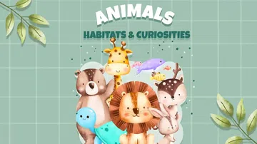 动物：栖息地和好奇心|Animals – Habitats 封面