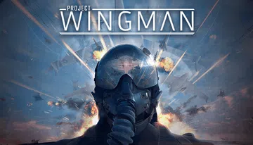 Project Wingman封面