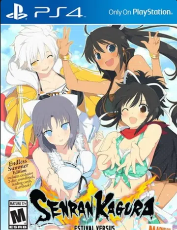 闪乱神乐：少女们的选择|Senran Kagura: Estival Versus中文封面