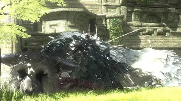 最后的守护者 v1.03（The Last Guardian）免安装中文版封面